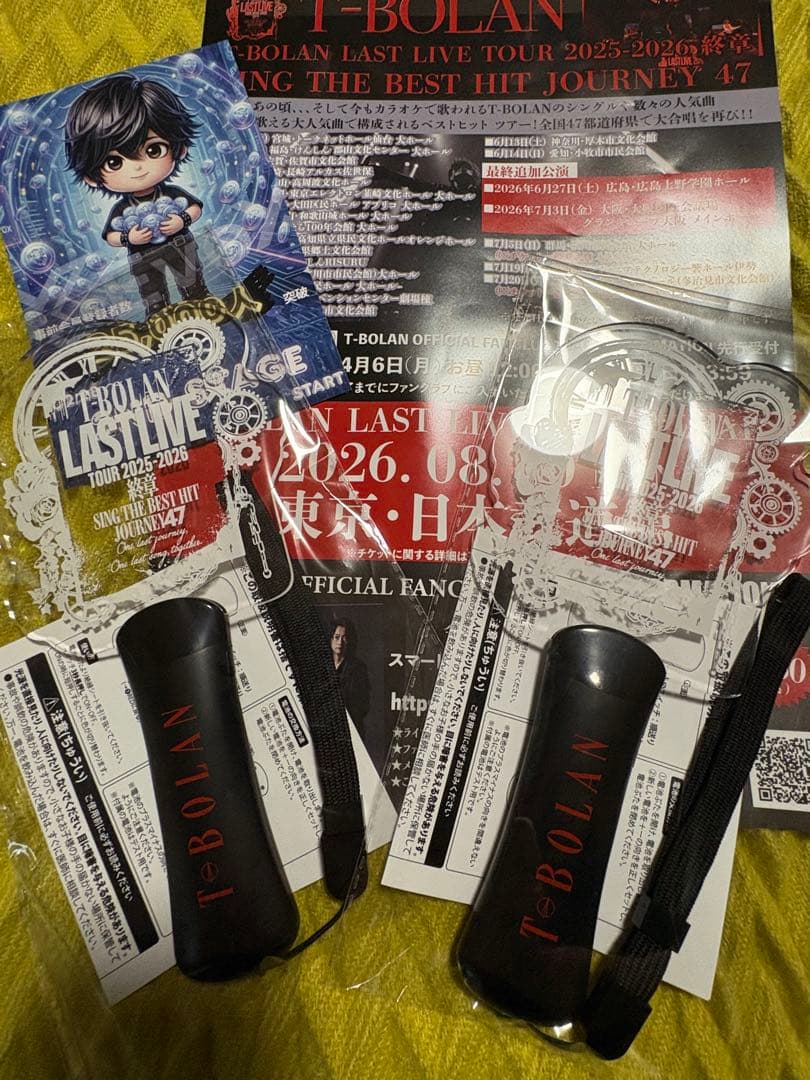 T-BOLAN LAST LIVE ペンライト 2個セット