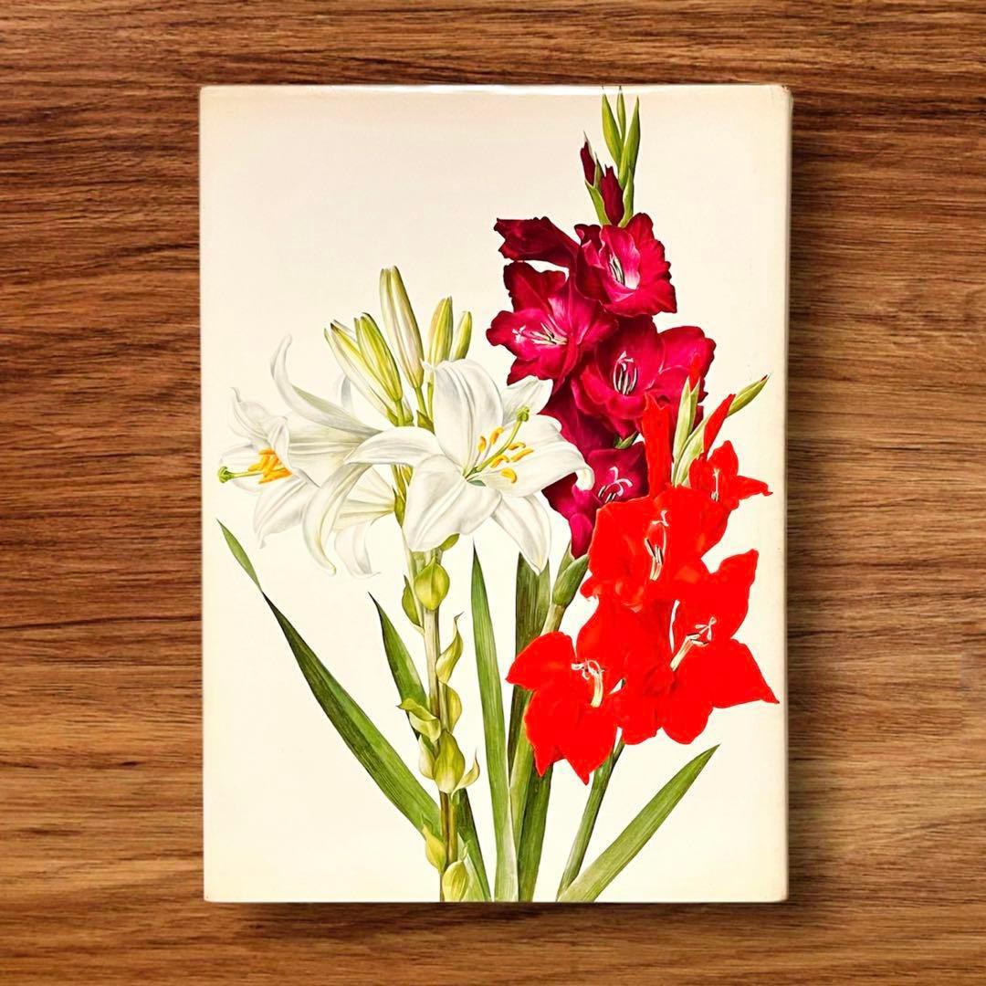 洋書 ボタニカルアート 60年代 アンティーク ビンテージ 植物図鑑 花イラスト