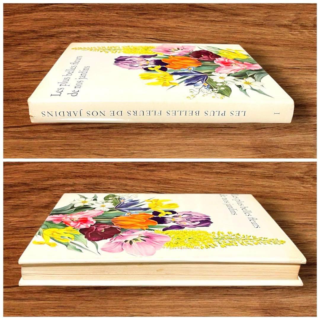 洋書 ボタニカルアート 60年代 アンティーク ビンテージ 植物図鑑 花イラスト