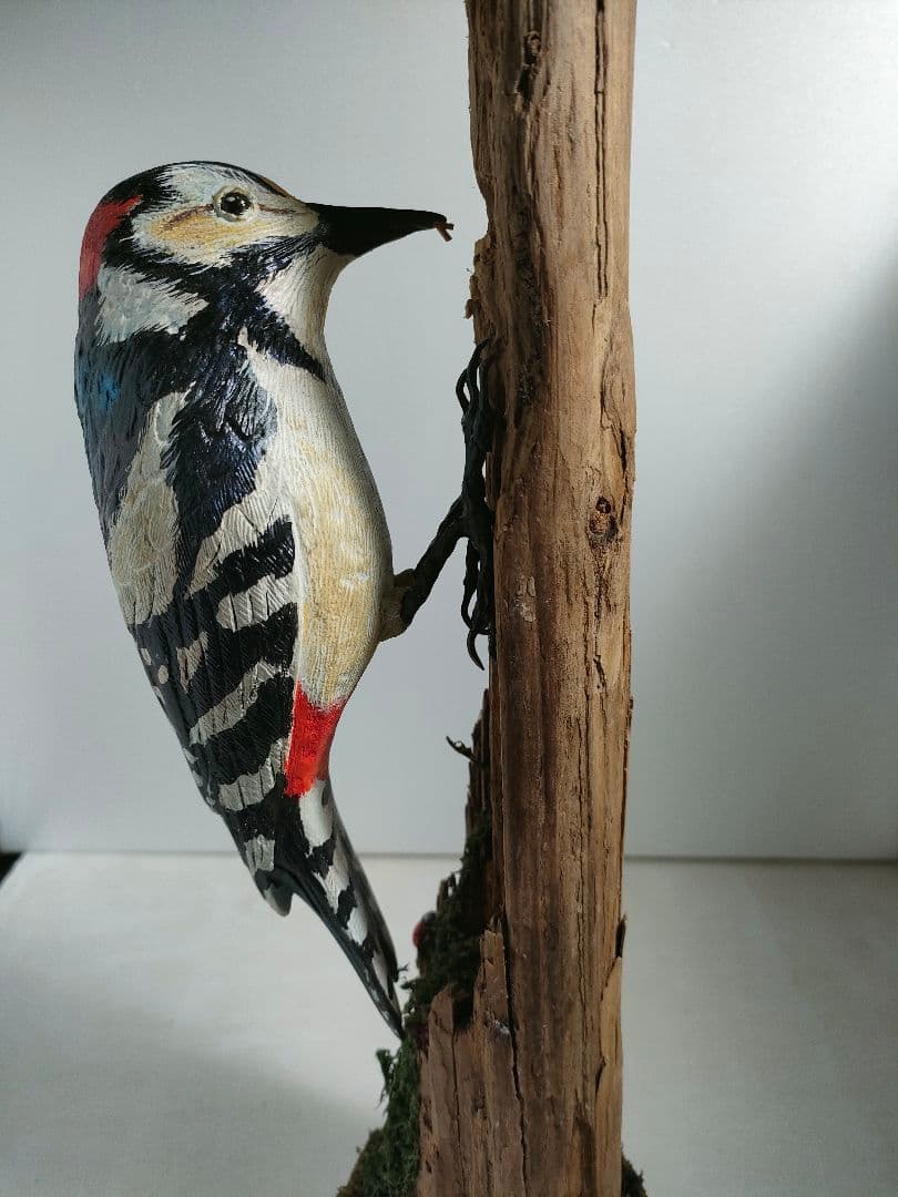 アカゲラ　バードカービング