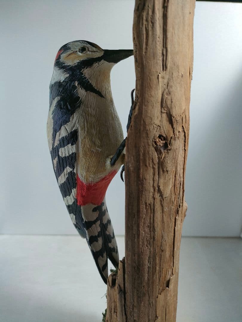 アカゲラ　バードカービング