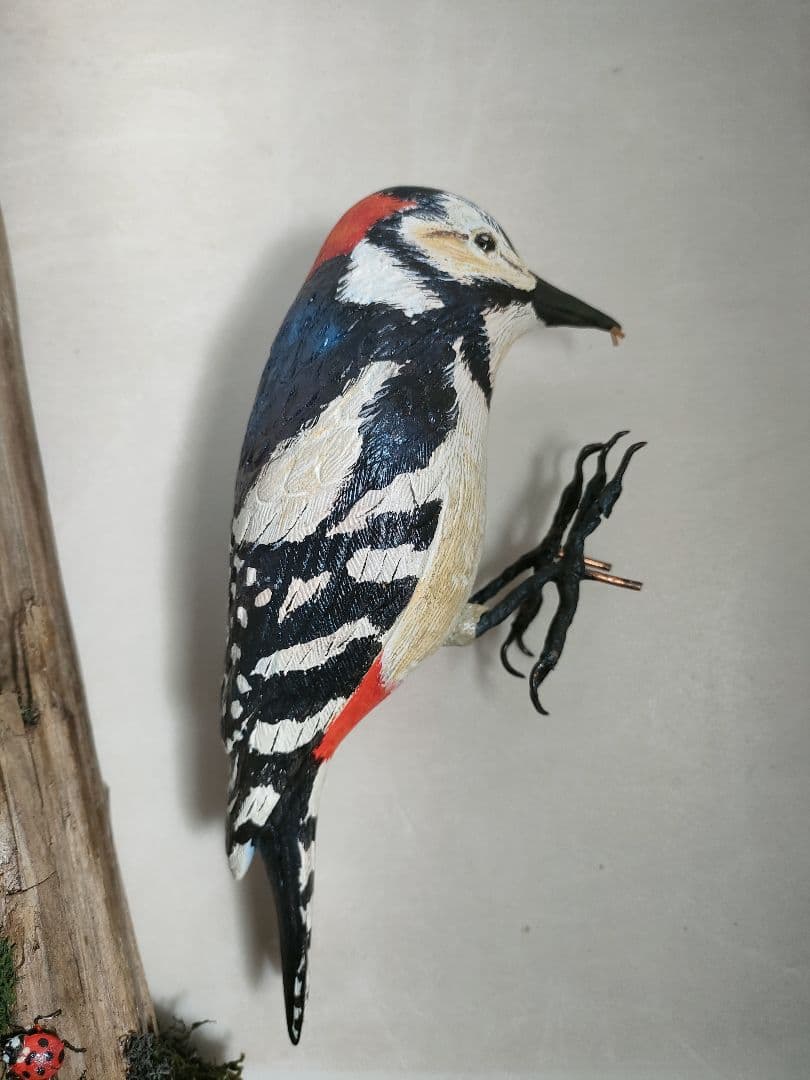 アカゲラ　バードカービング