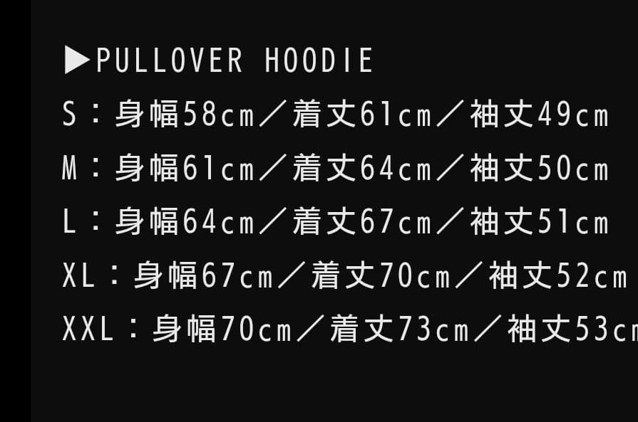 BABYL PULLOVER HOODIE パーカー Lサイズ