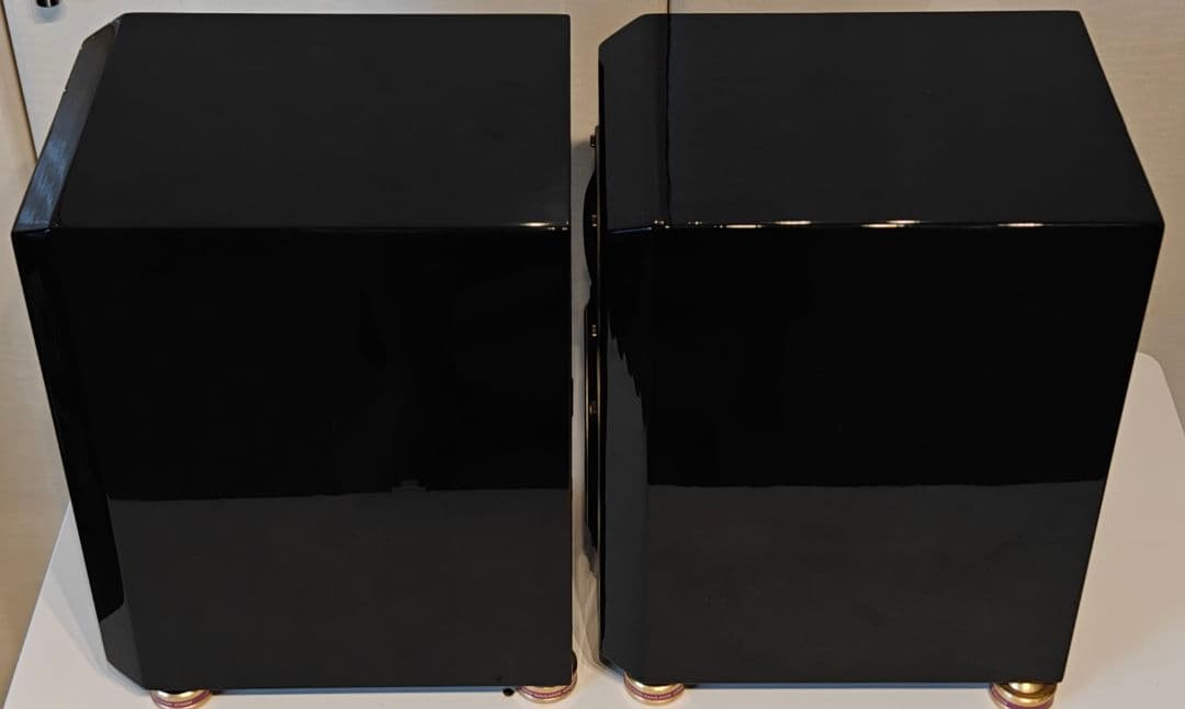 ​【限定色・元箱付】FOSTEX GX100 グロッシーブラック スピーカー