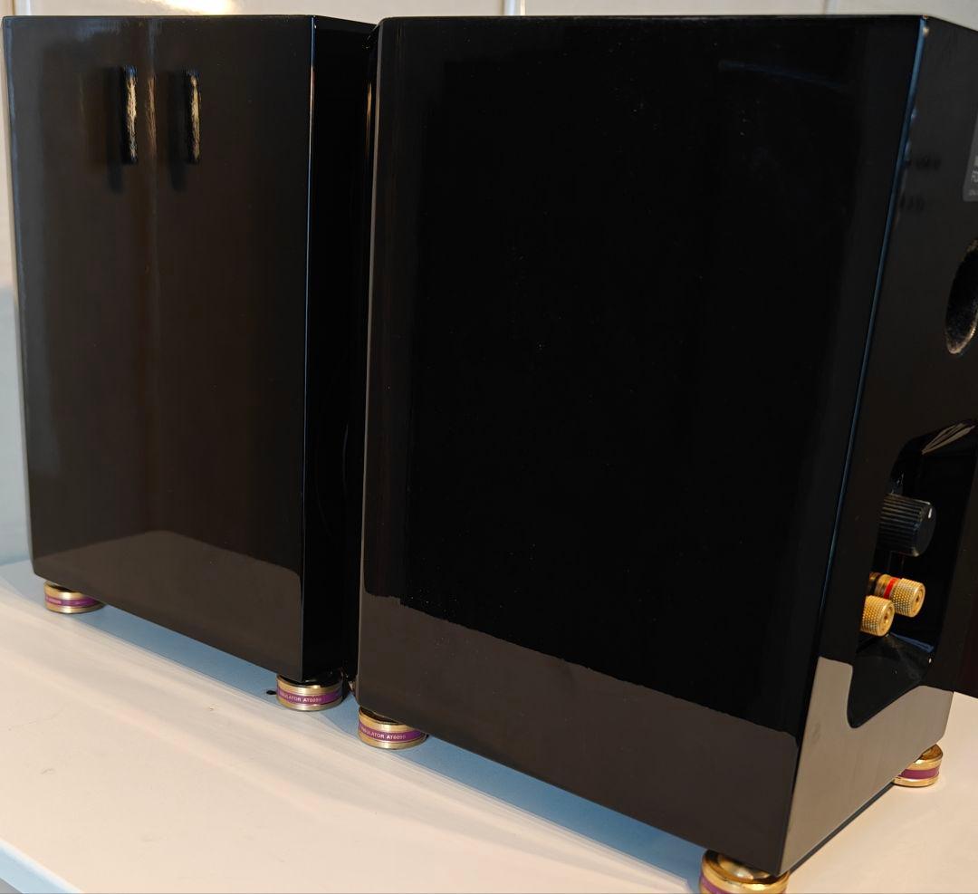 ​【限定色・元箱付】FOSTEX GX100 グロッシーブラック スピーカー