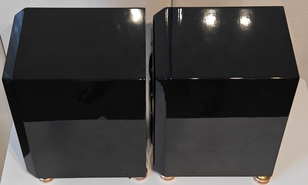 ​【限定色・元箱付】FOSTEX GX100 グロッシーブラック スピーカー