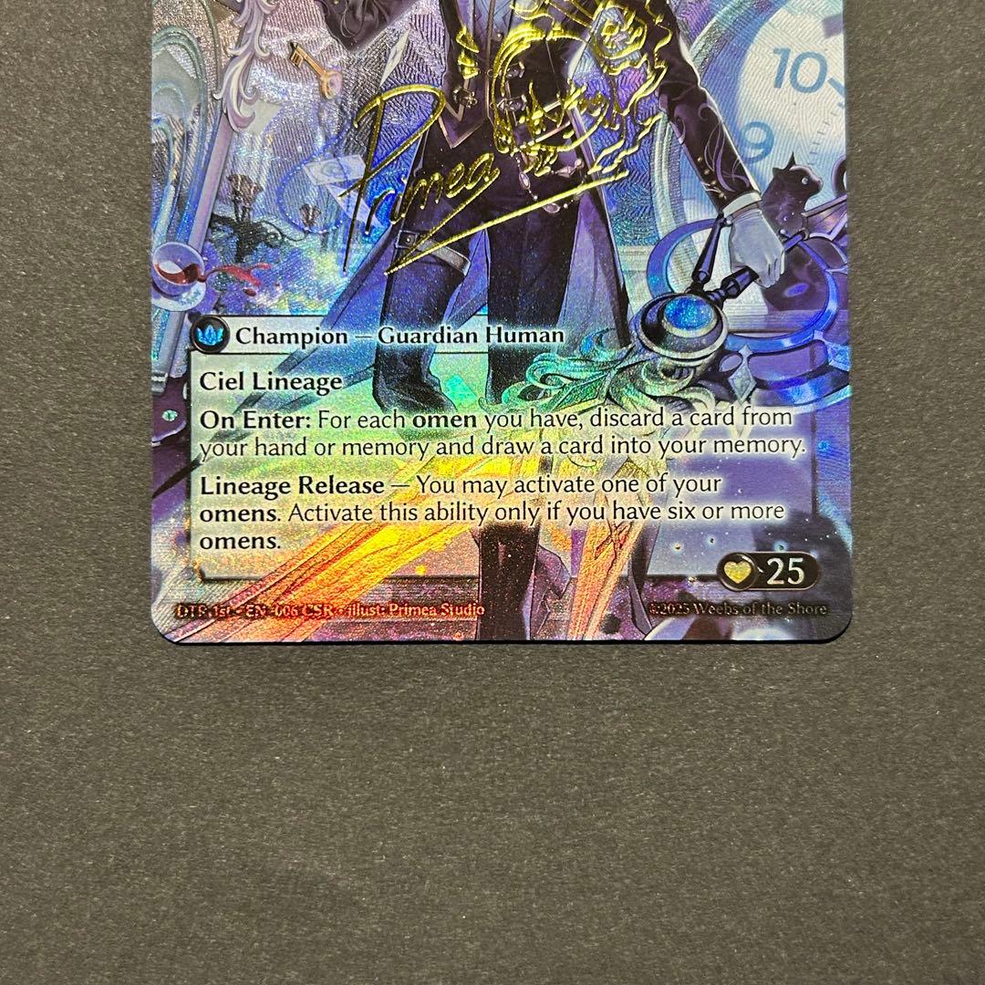 その他 Ciel, Omenbringer CSR grand archive