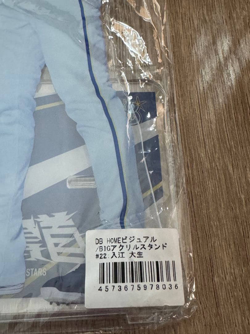 DB ビジュアル BIGアクリルスタンド＃22：入江 大生選手