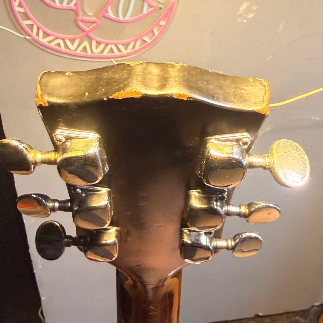 ProMartin アコースティックギター　W-200S ジャパンビンテージ