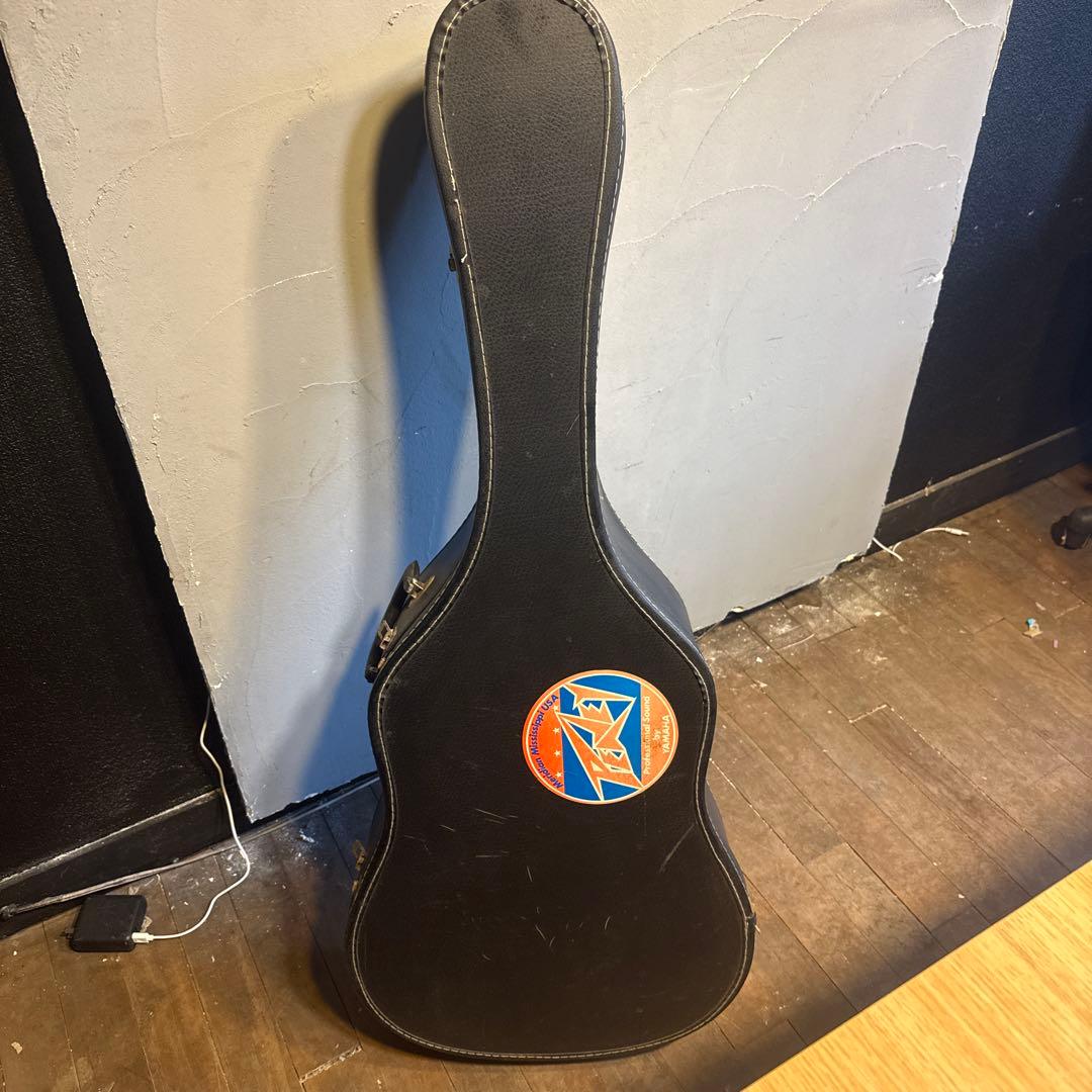 ProMartin アコースティックギター　W-200S ジャパンビンテージ