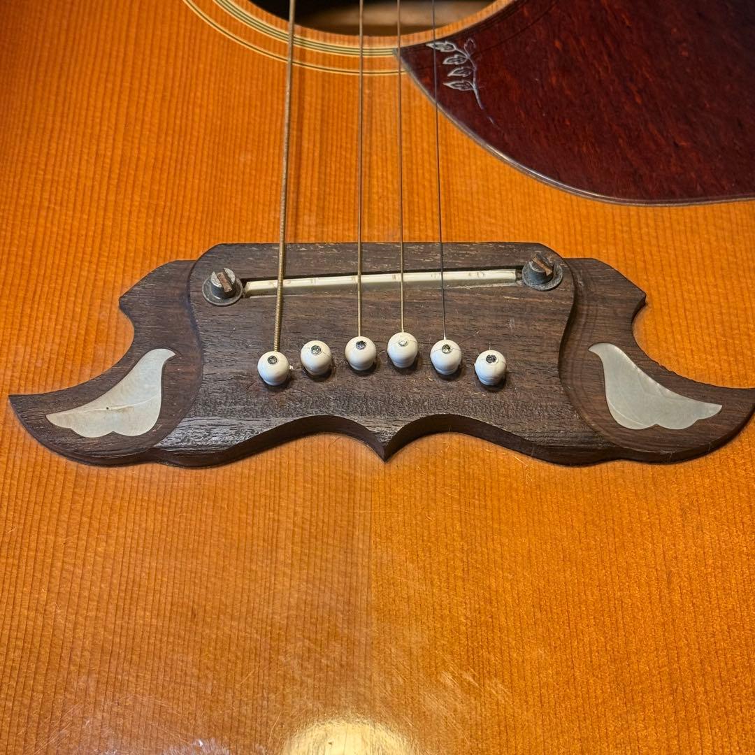 ProMartin アコースティックギター　W-200S ジャパンビンテージ