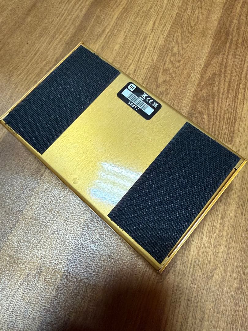 ギター Meris ENZO X