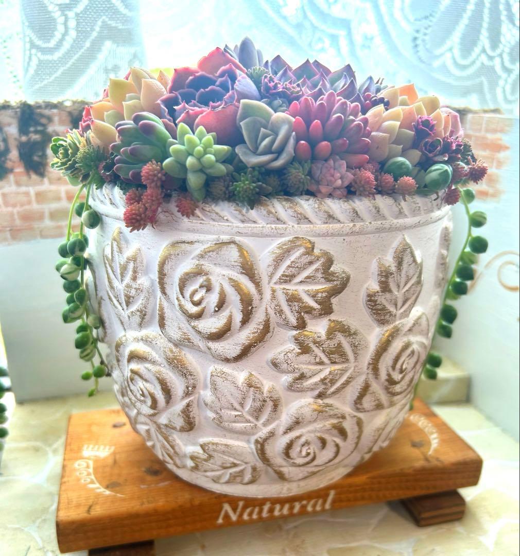 ・:*多肉植物そのまま飾れる・:*アンティークローズ鉢