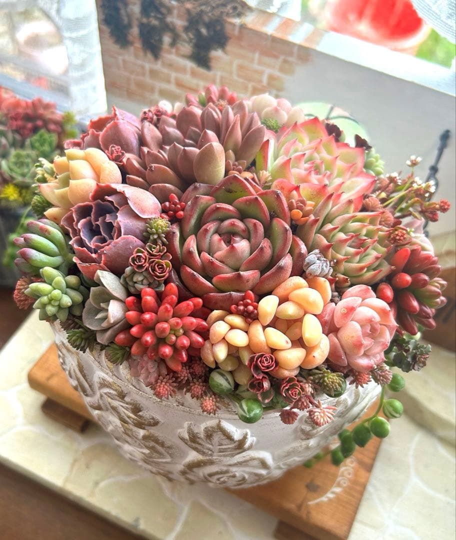 ・:*多肉植物そのまま飾れる・:*アンティークローズ鉢