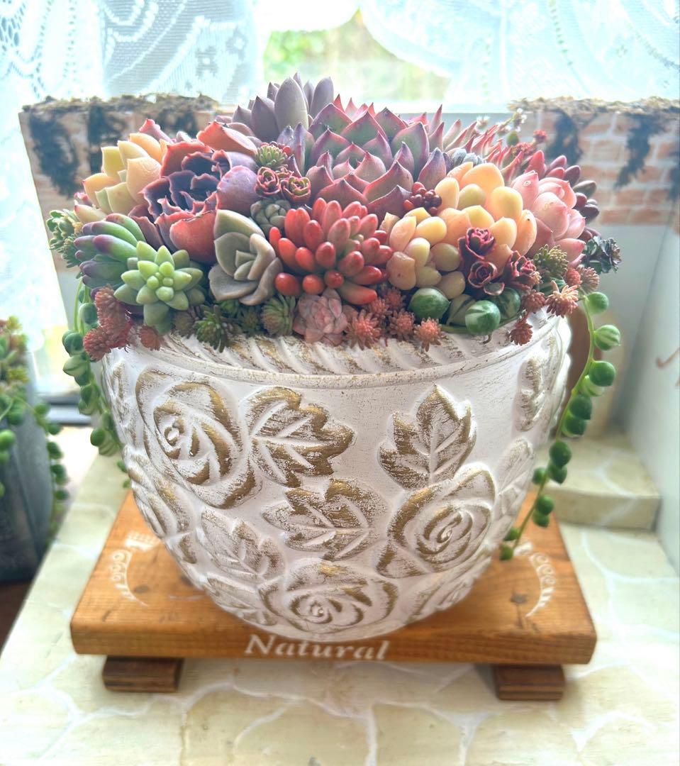 ・:*多肉植物そのまま飾れる・:*アンティークローズ鉢
