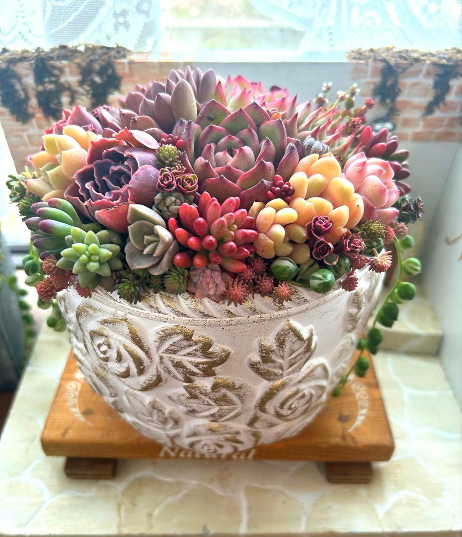 ・:*多肉植物そのまま飾れる・:*アンティークローズ鉢