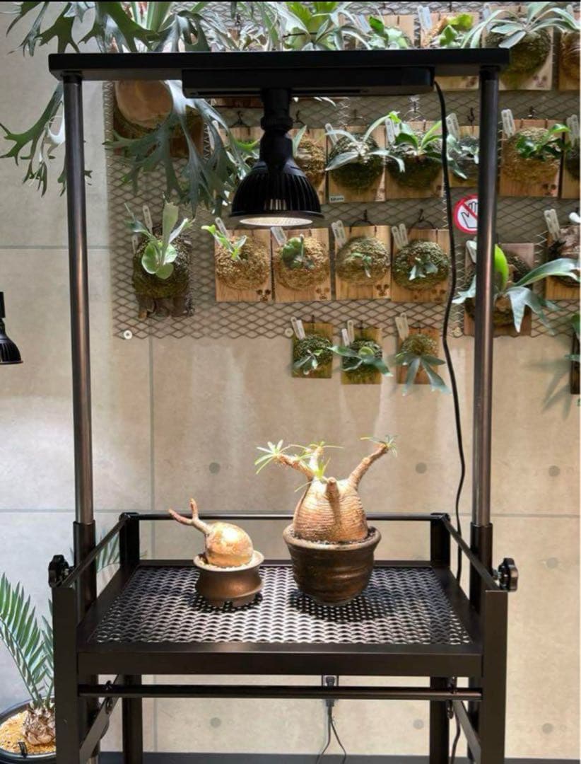 WACKO 塗装済み完成品　植物棚　小タイプ　ダクトレール30cm付き