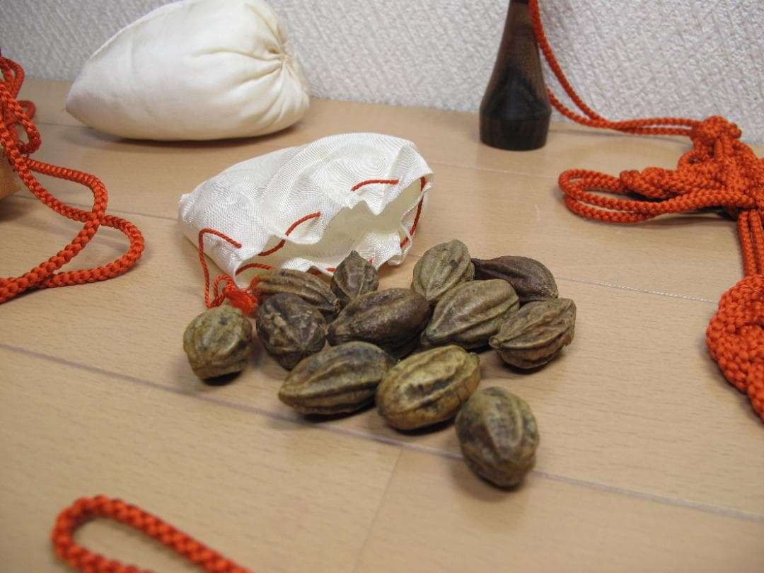 訶梨勒　かりろく　実12個付き　茶道具