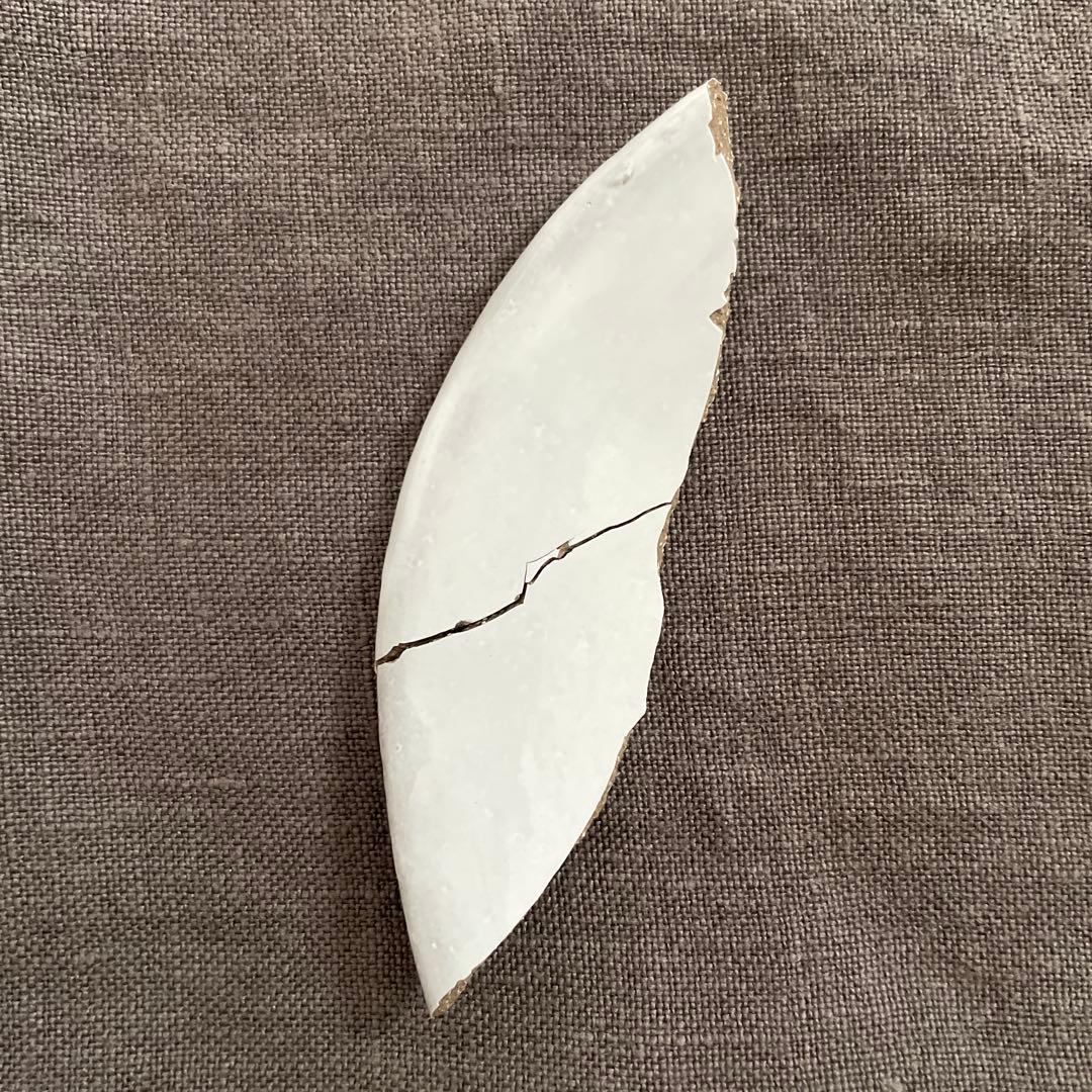 【金継ぎ用】アスティエ・ド・ヴィラット Sobre 22cm オーバルプレート