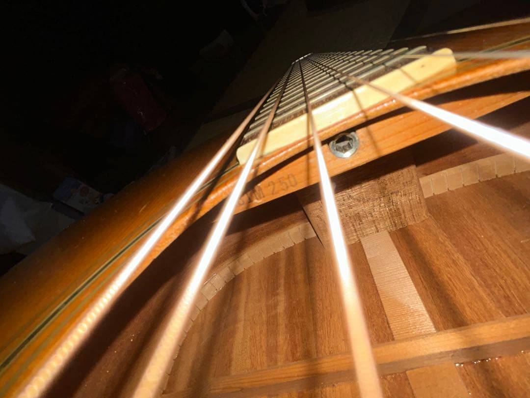 MORALES M250 縦ロゴハードケース付き　ジャンク扱い