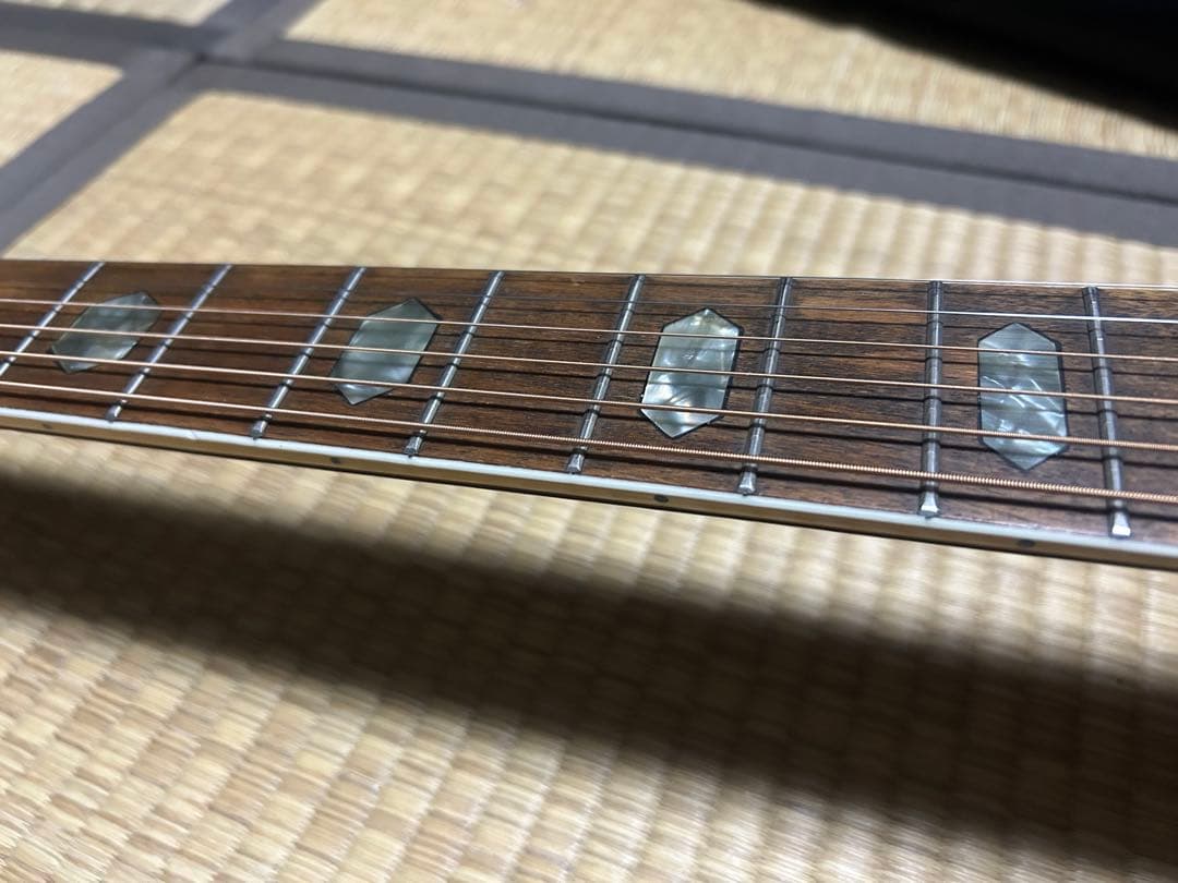 MORALES M250 縦ロゴハードケース付き　ジャンク扱い