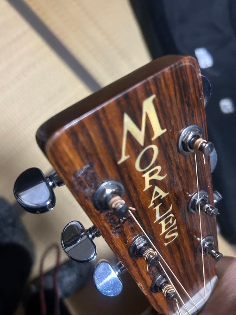 MORALES M250 縦ロゴハードケース付き　ジャンク扱い