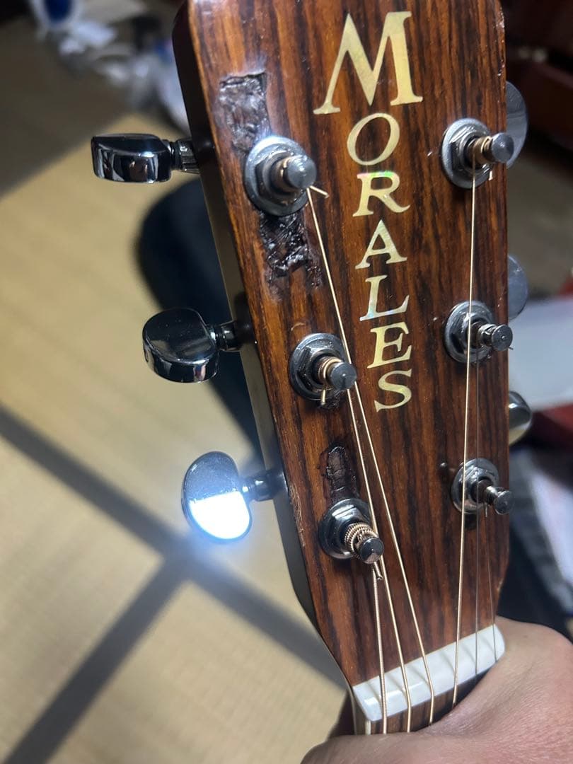 MORALES M250 縦ロゴハードケース付き　ジャンク扱い