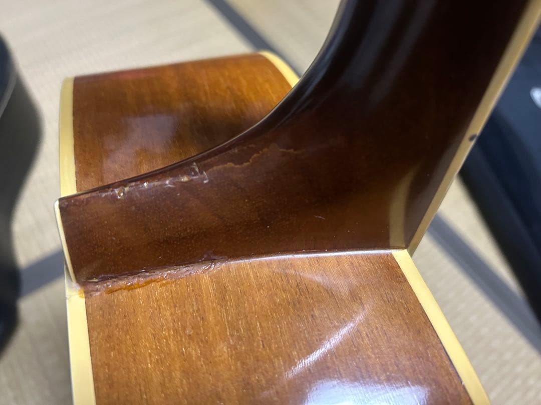 MORALES M250 縦ロゴハードケース付き　ジャンク扱い