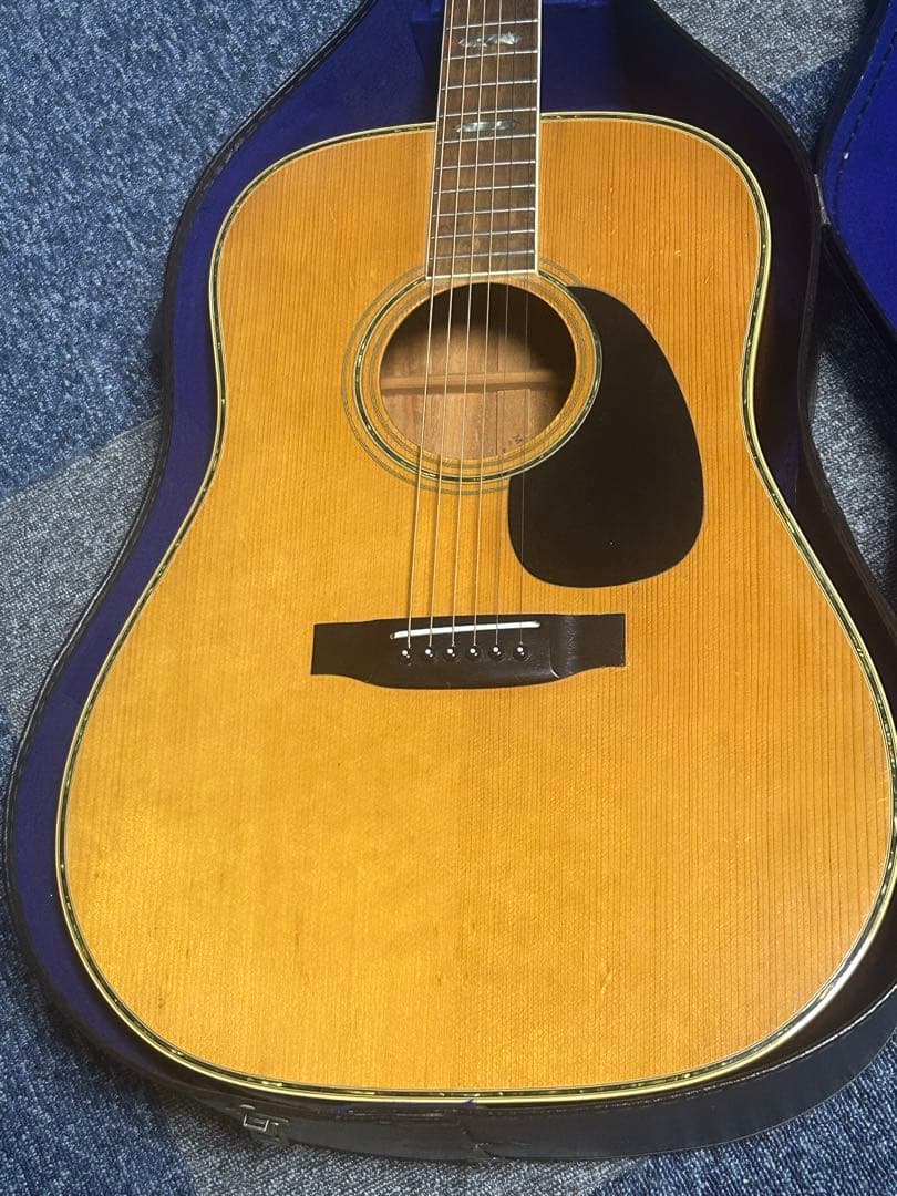 MORALES M250 縦ロゴハードケース付き　ジャンク扱い