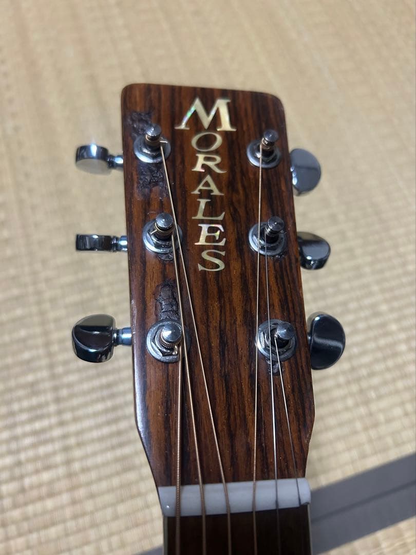 MORALES M250 縦ロゴハードケース付き　ジャンク扱い