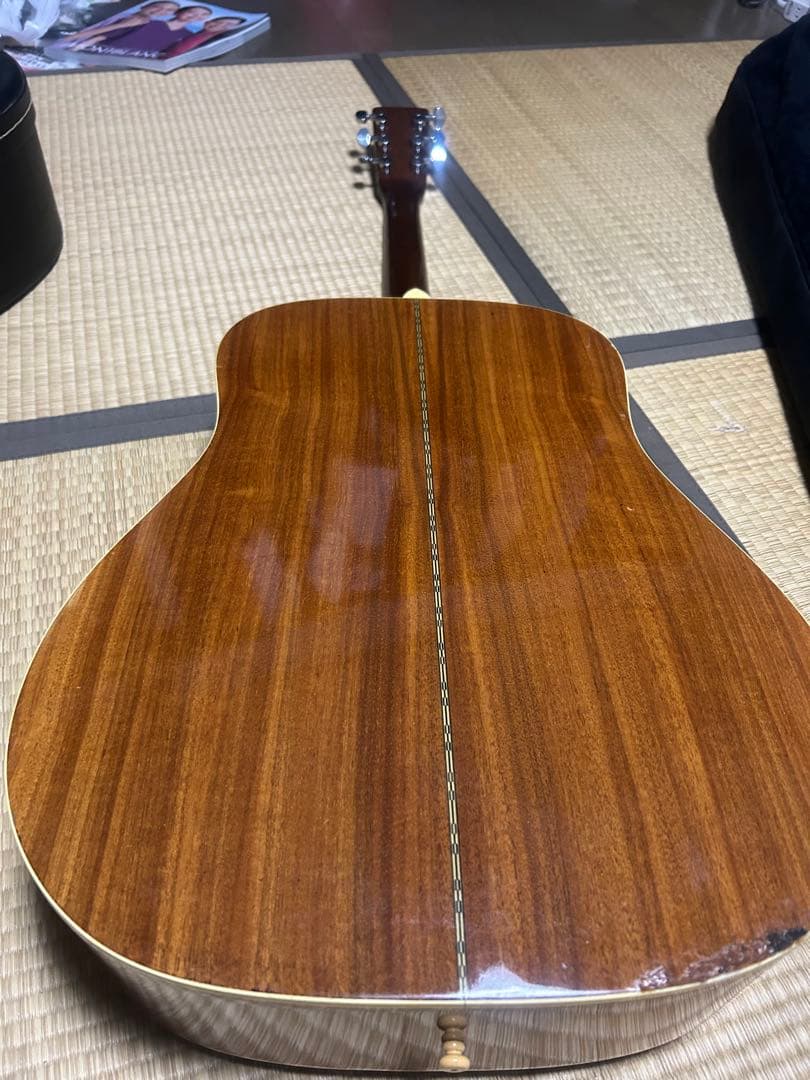 MORALES M250 縦ロゴハードケース付き　ジャンク扱い