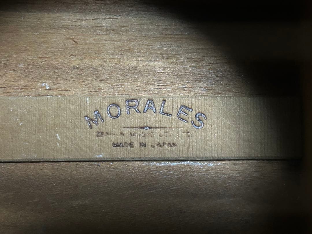 MORALES M250 縦ロゴハードケース付き　ジャンク扱い