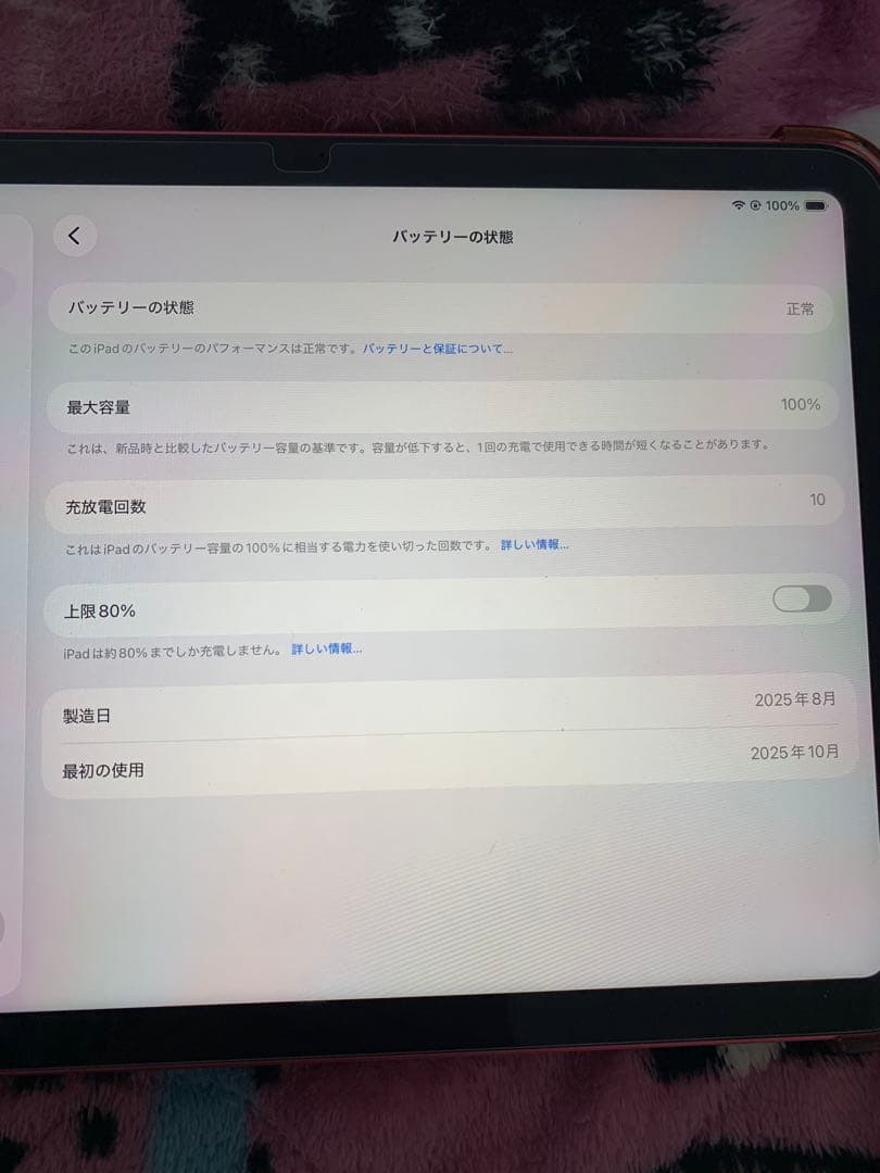 Apple iPad ピンク 本体　256GB