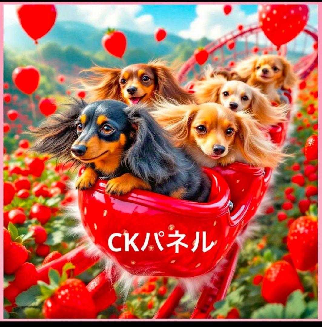 アロママ様確認用ページ