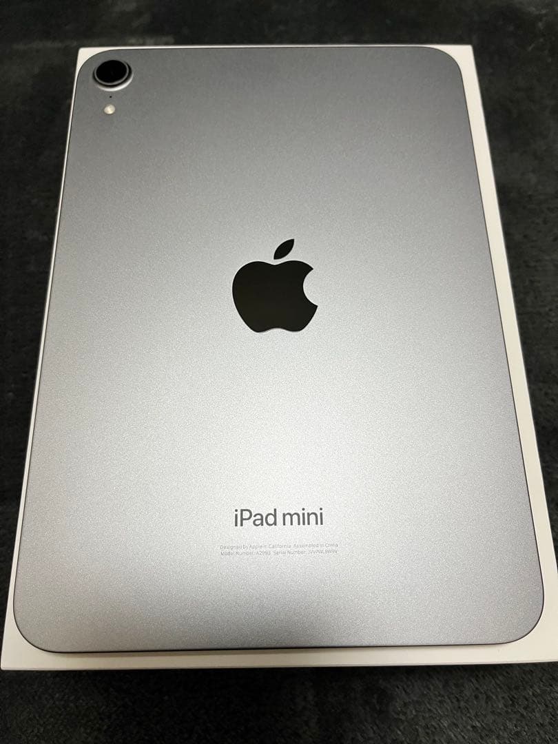 iPad mini A17 Pro 128GB【バッテリー100%】