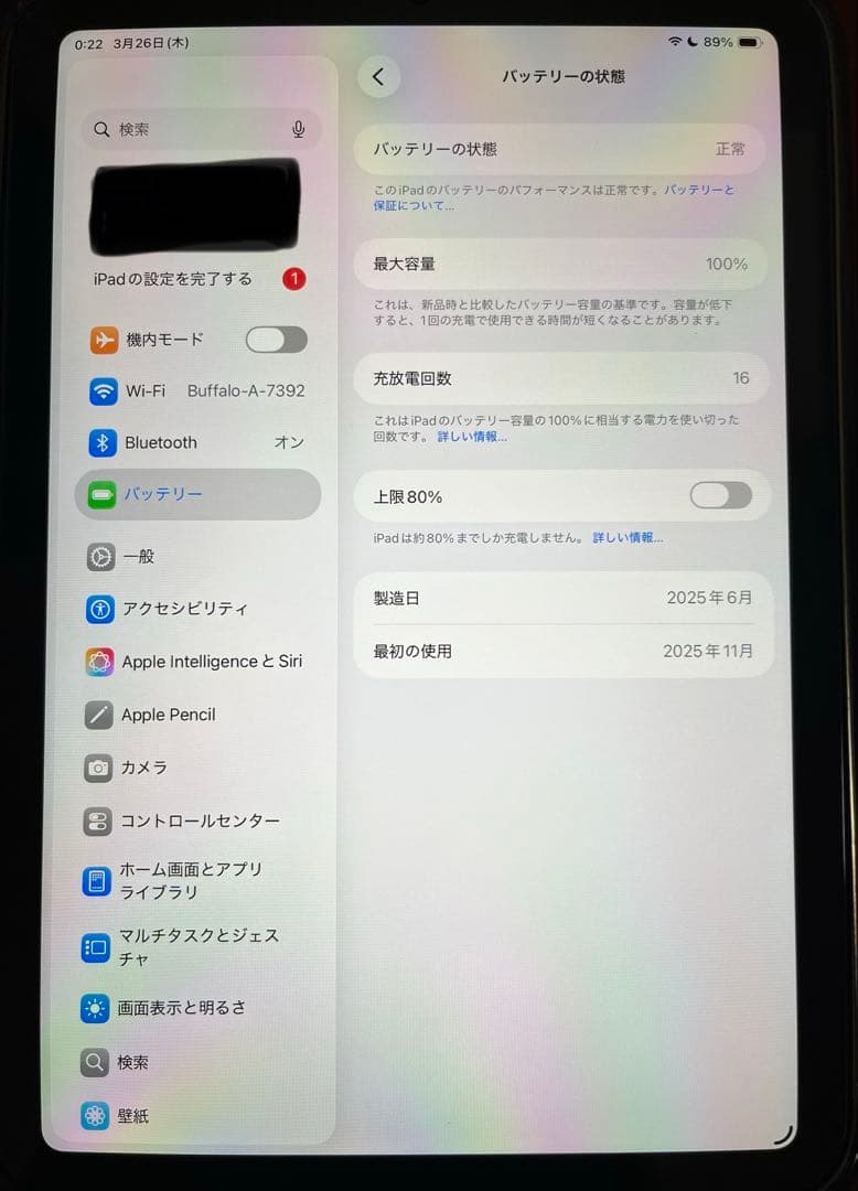 iPad mini A17 Pro 128GB【バッテリー100%】