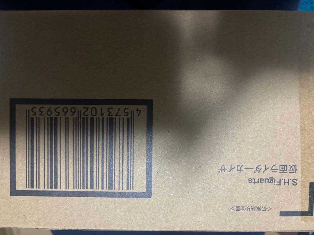 ※説明確認　S.H.Figuarts（真骨彫製法） 仮面ライダーカイザ