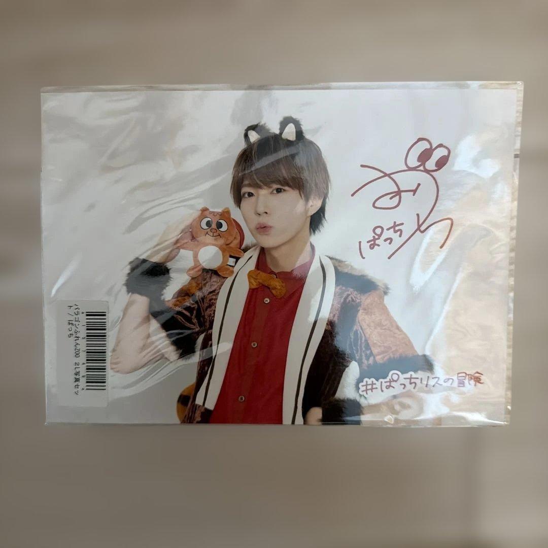 パンダドラゴン　ぱっち　ぱっちリス