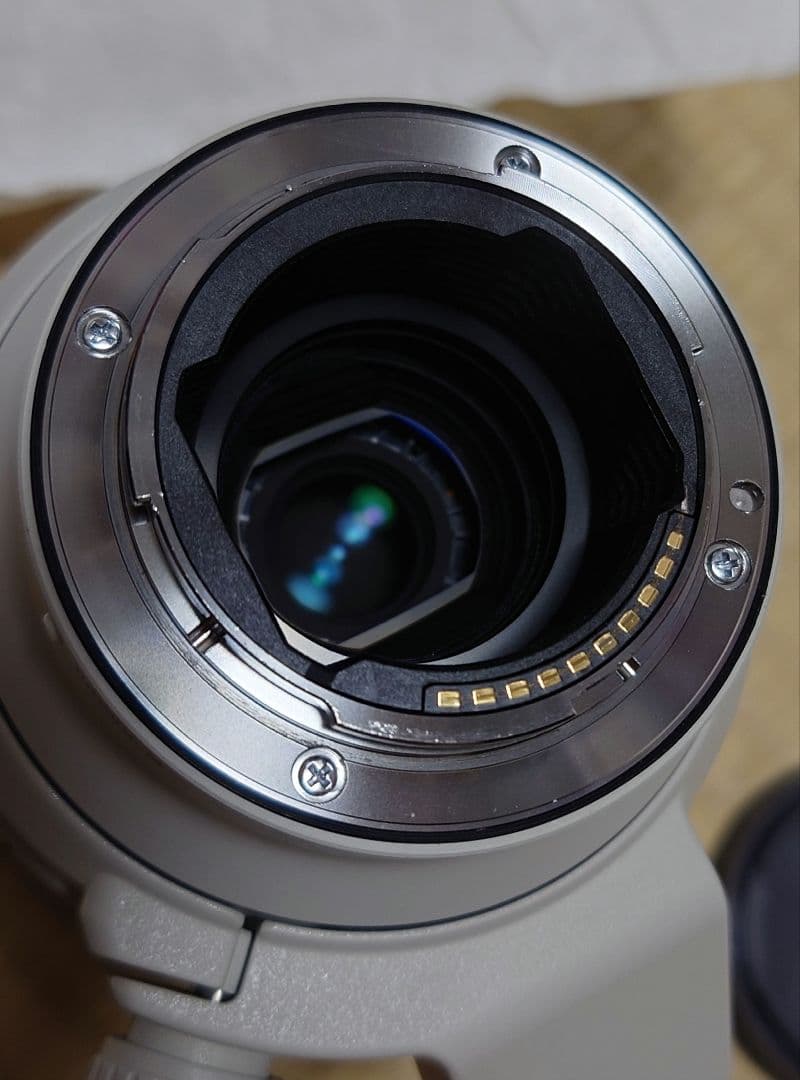 SONY FE 70-200mm F4 MacroG OSSⅡ PLフィルター付