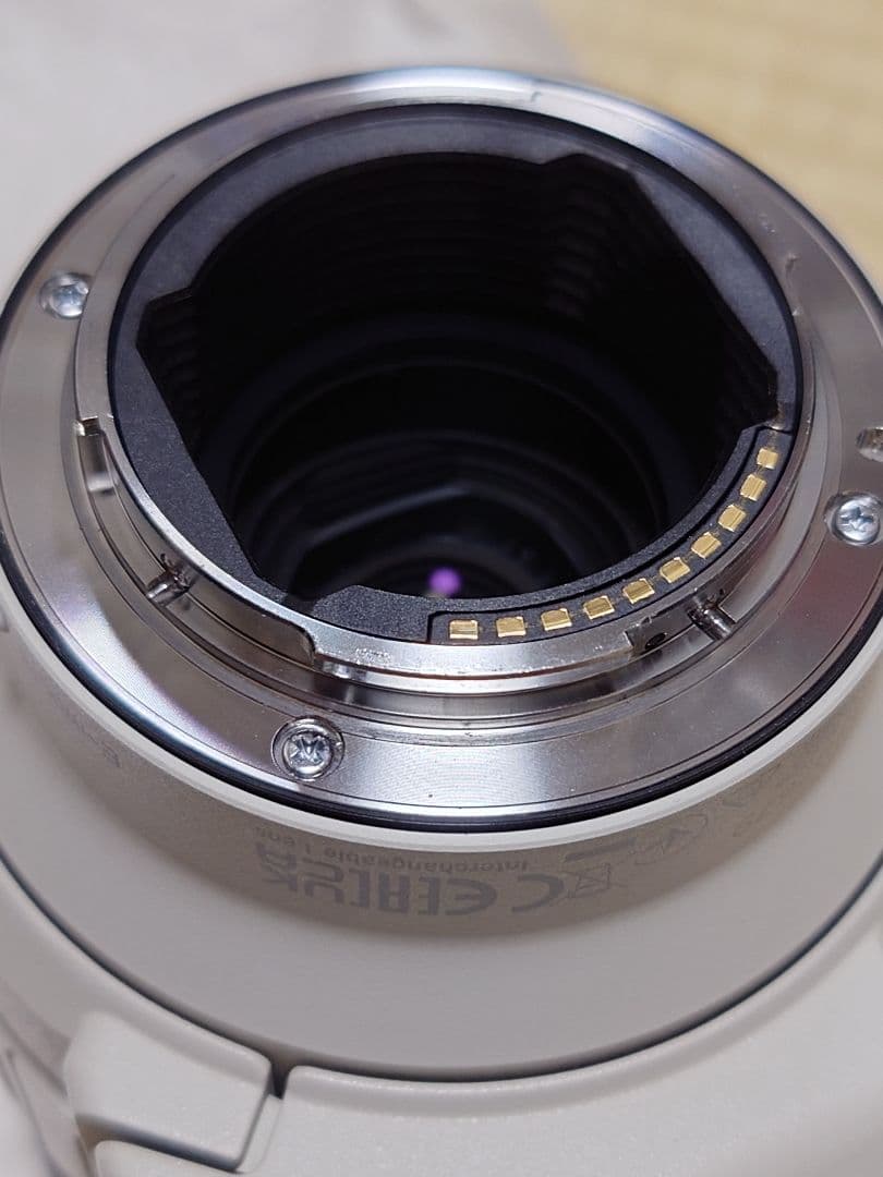 SONY FE 70-200mm F4 MacroG OSSⅡ PLフィルター付