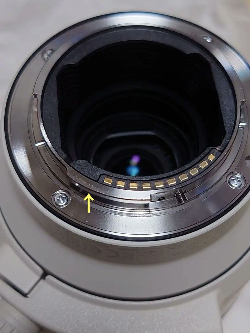 SONY FE 70-200mm F4 MacroG OSSⅡ PLフィルター付