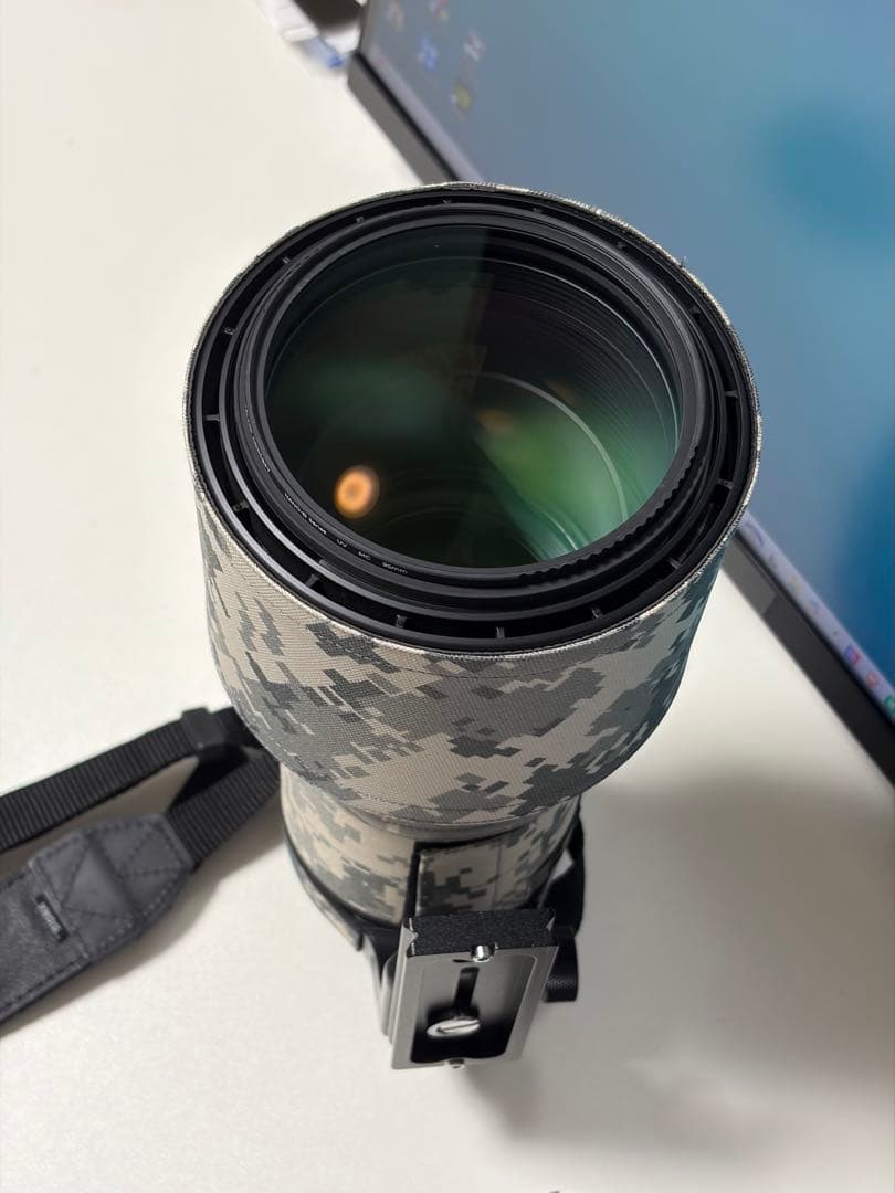 シグマ　150-600mm F5-6.3 DG キャノンEFマウント