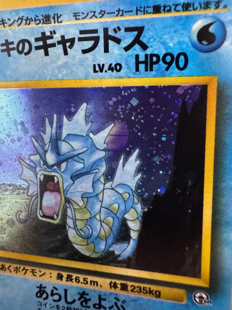 美品【旧裏】サカキのギャラドス ★ ジム拡張第2弾 闇からの挑戦 モンボホロ