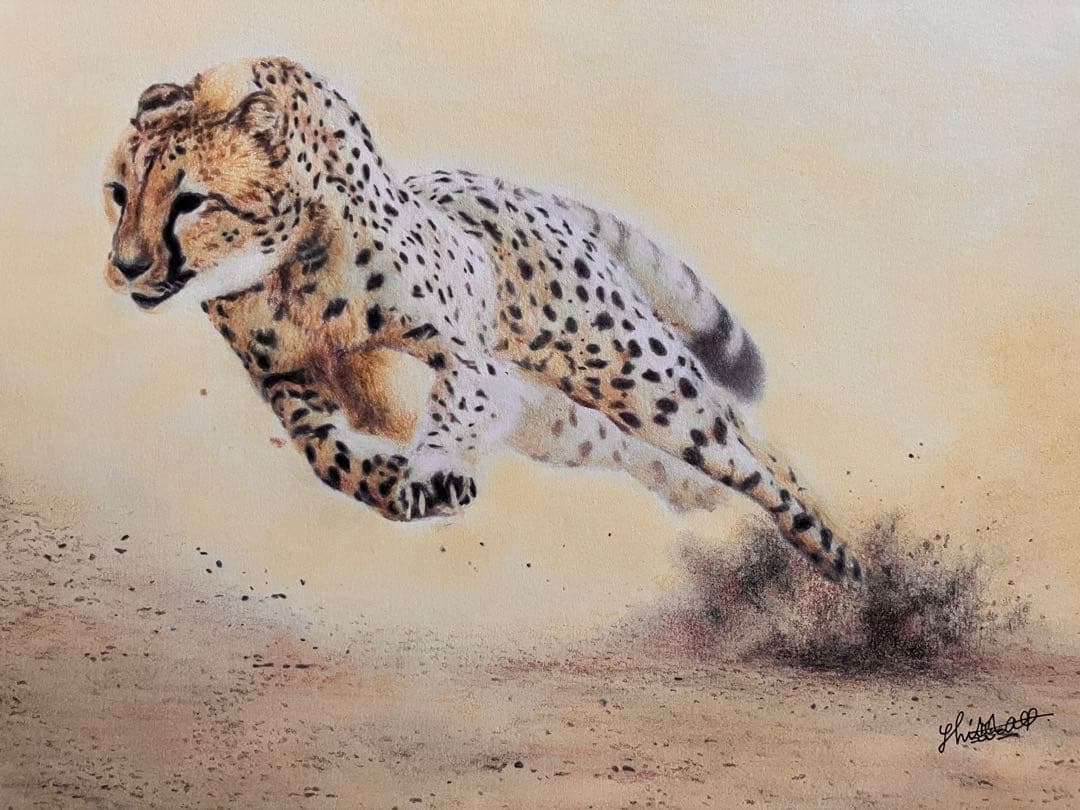 駆けるチーター 色鉛筆画 パステル