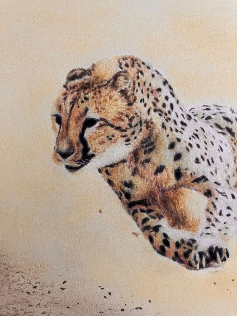 駆けるチーター 色鉛筆画 パステル