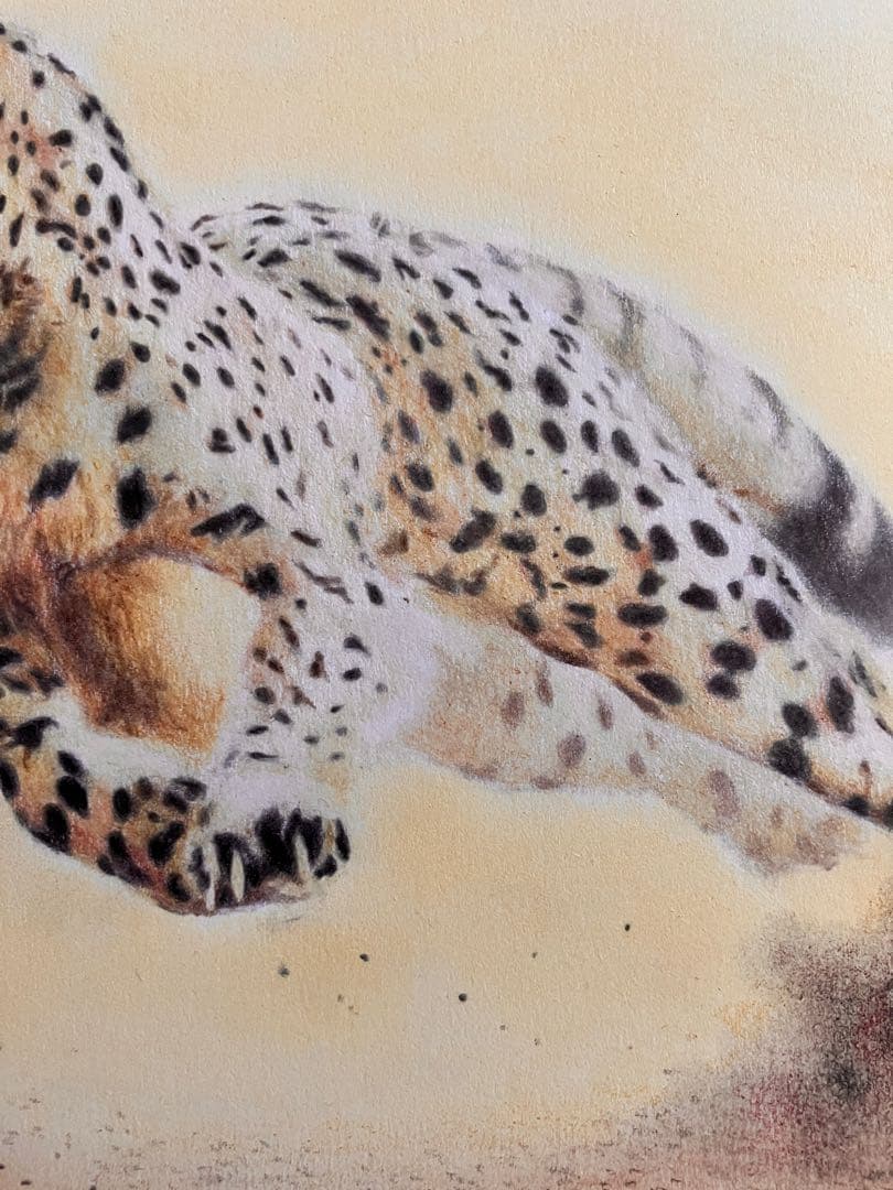 駆けるチーター 色鉛筆画 パステル
