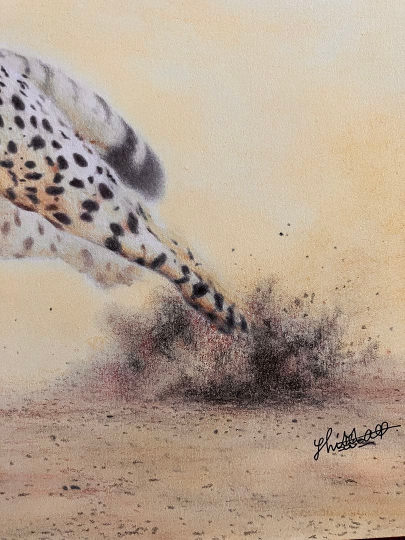 駆けるチーター 色鉛筆画 パステル