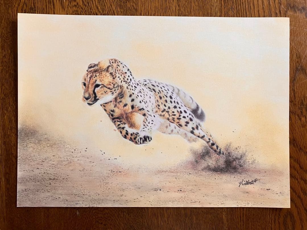 駆けるチーター 色鉛筆画 パステル