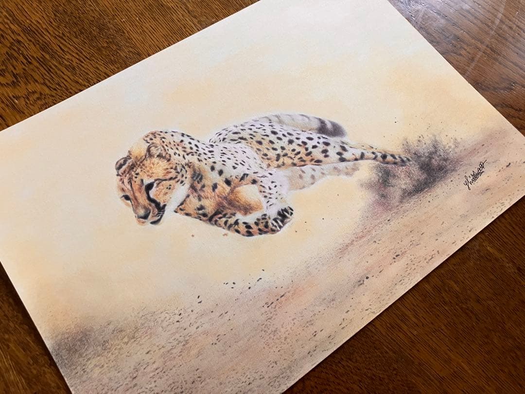 駆けるチーター 色鉛筆画 パステル
