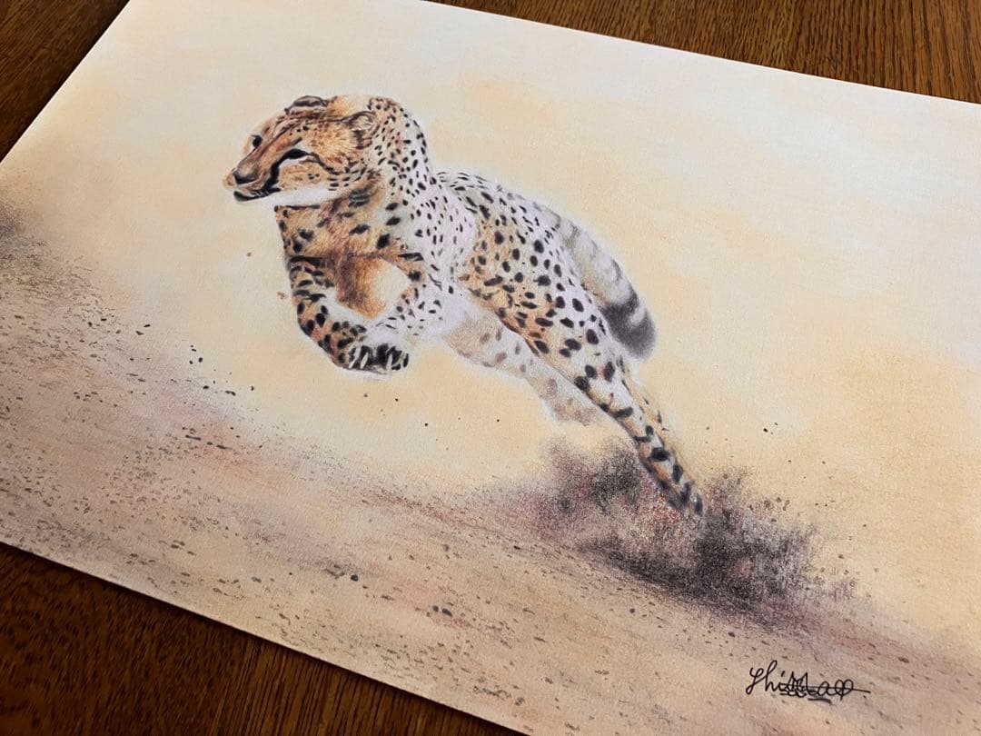 駆けるチーター 色鉛筆画 パステル